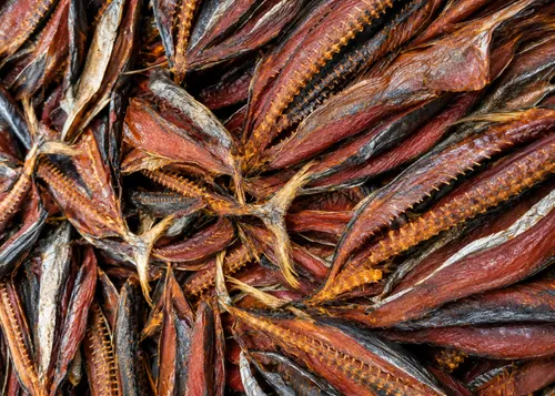 Dried Yellowfin Fish