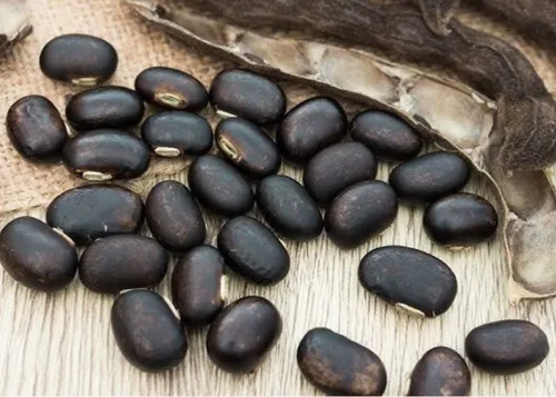 Velvet Beans
