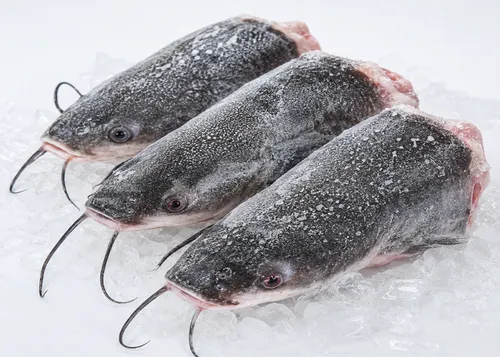 Frozen Catfish (head)